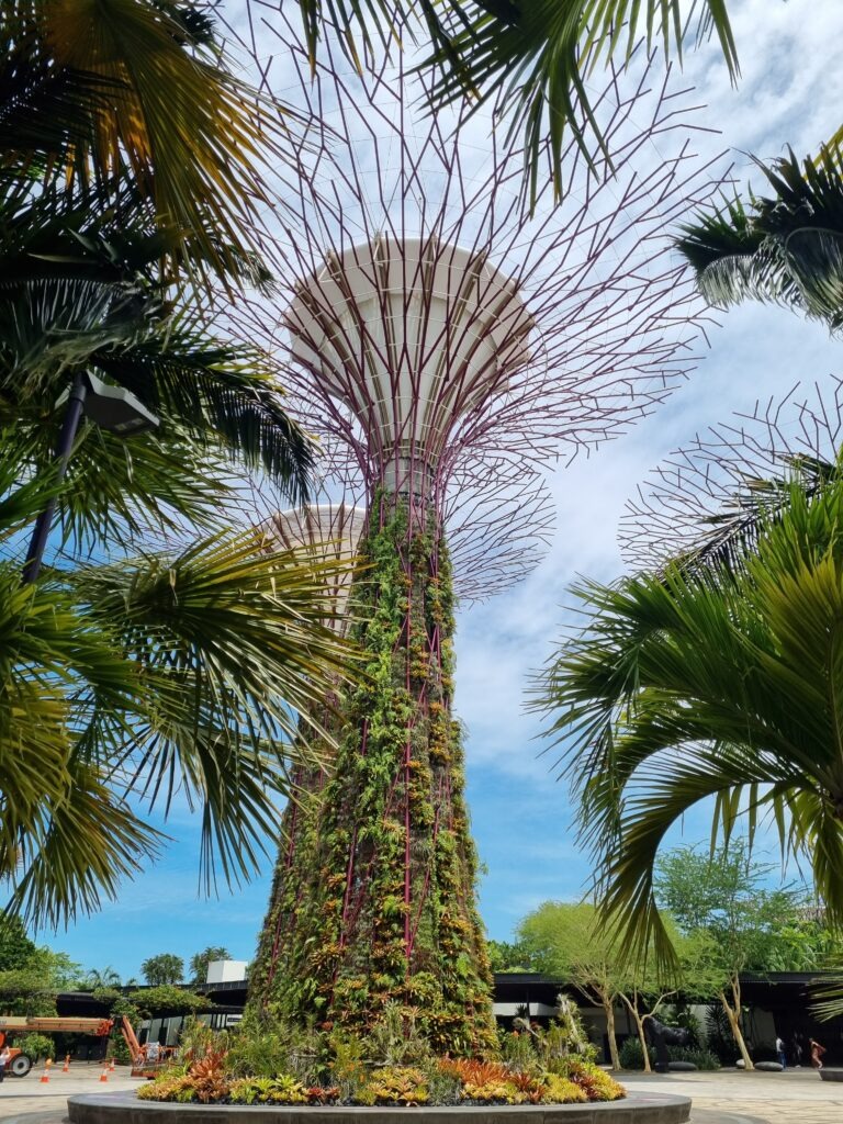 Gardens by the Bay Supertree Grove